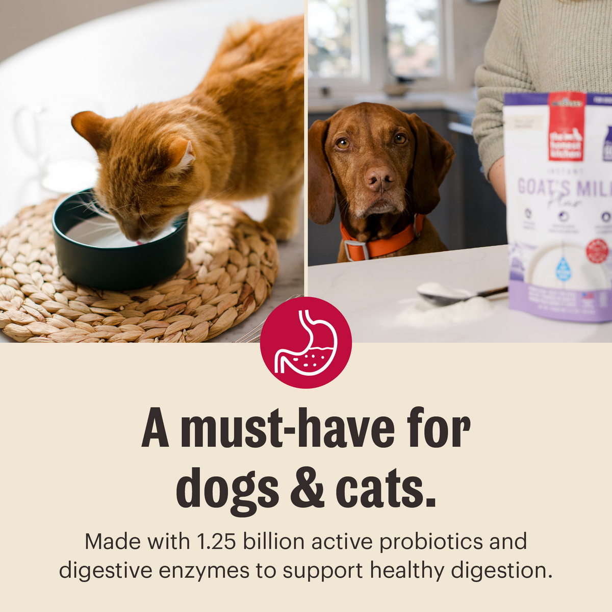 The Honest Kitchen Instant Goat's Milk Plus for Dogs
