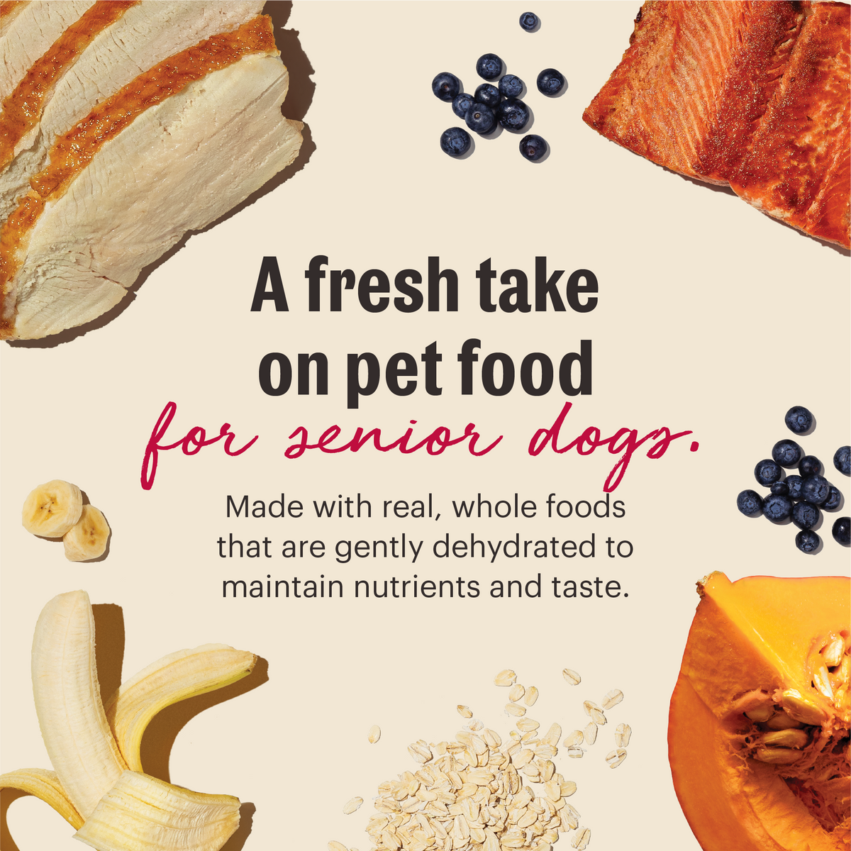 The Honest Kitchen Wholemade Whole Grain Chicken, Oat & Salmon Dehydrated Dog Food for Seniors