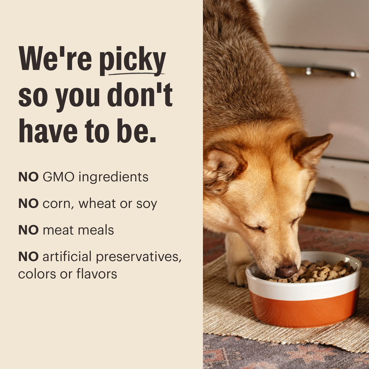 The Honest Kitchen Grain Free Beef & Chicken Protein Plus Clusters Dry Dog Food