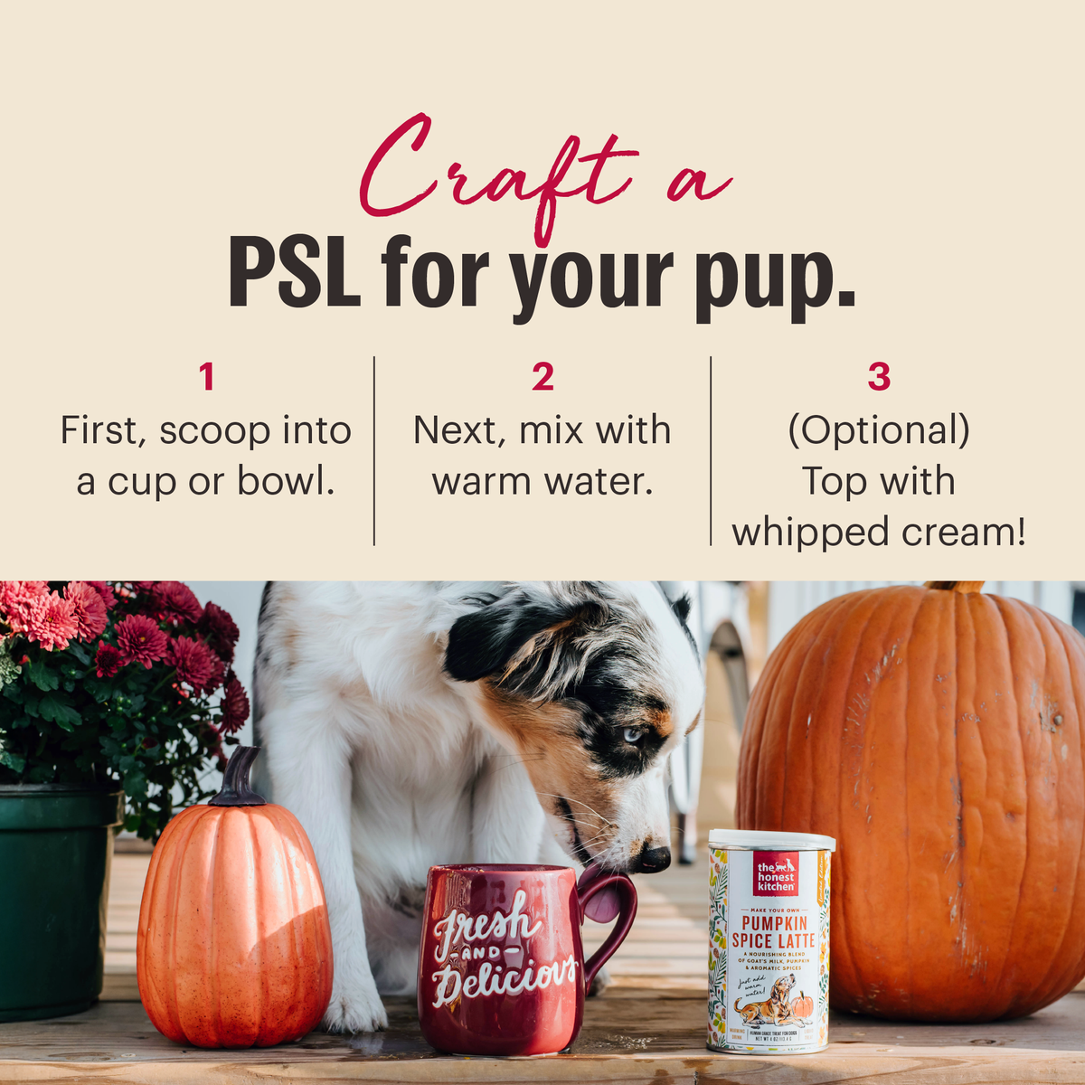 The Honest Kitchen Pumpkin Spice Latte for Dogs