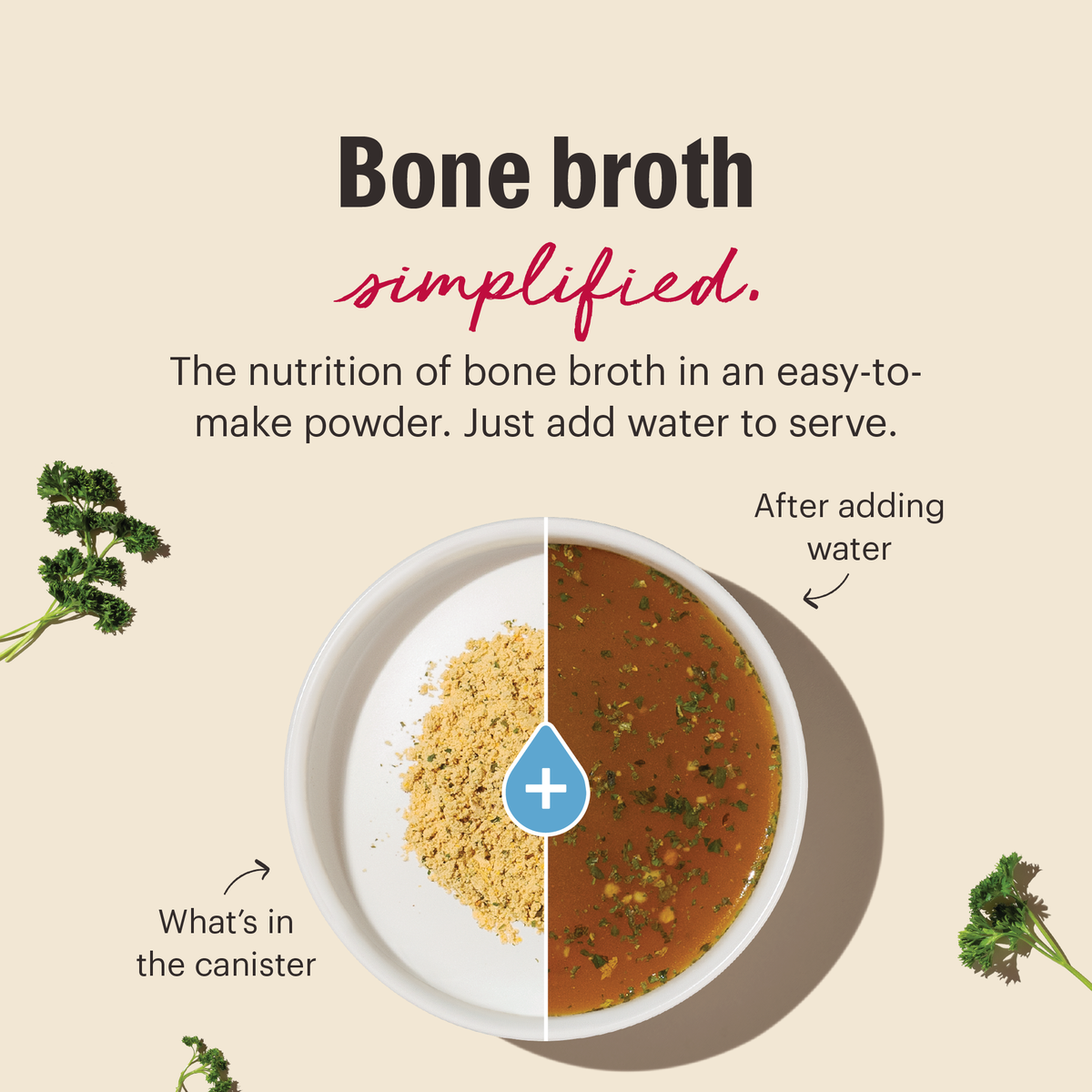 The Honest Kitchen Instant Beef Bone Broth with Turmeric for Dogs