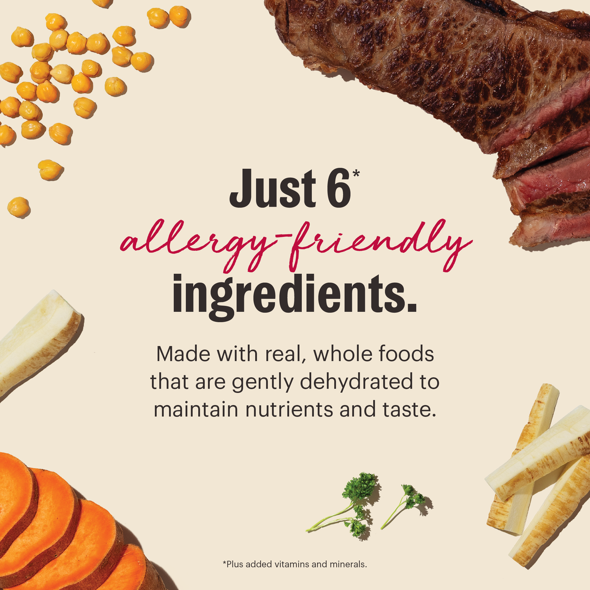 The Honest Kitchen Wholemade Limited Ingredient Beef Dehydrated Dog Food