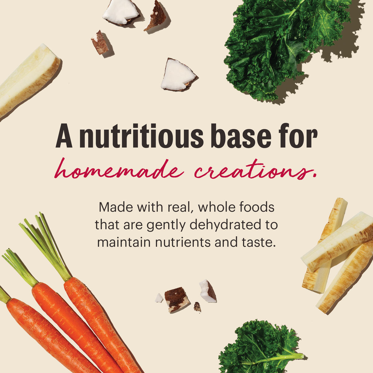 The Honest Kitchen Wholemade Grain Free Veggie, Nut & Seed Base Mix Dehydrated Dog Food