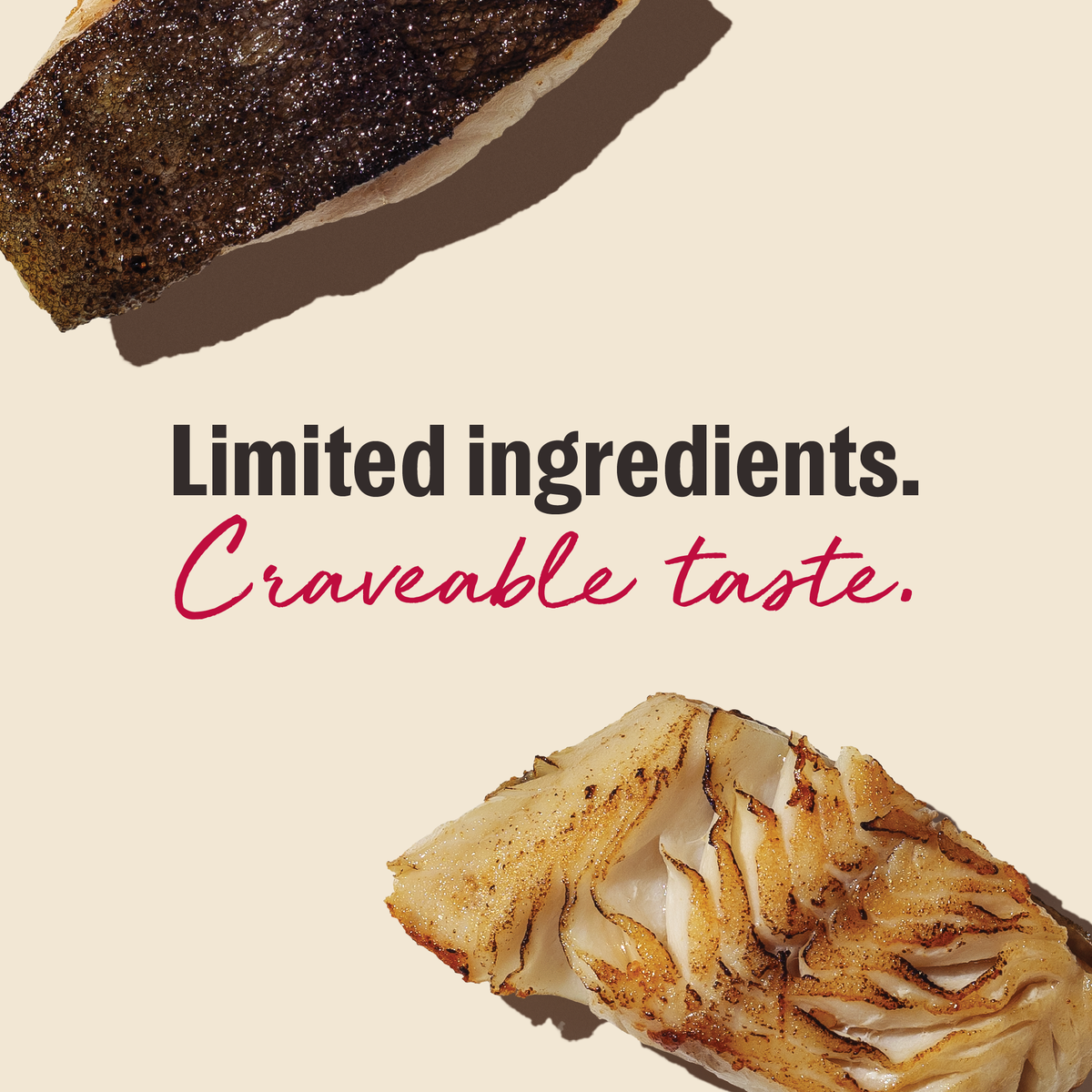 The Honest Kitchen Smittens White Fish Cat Treats