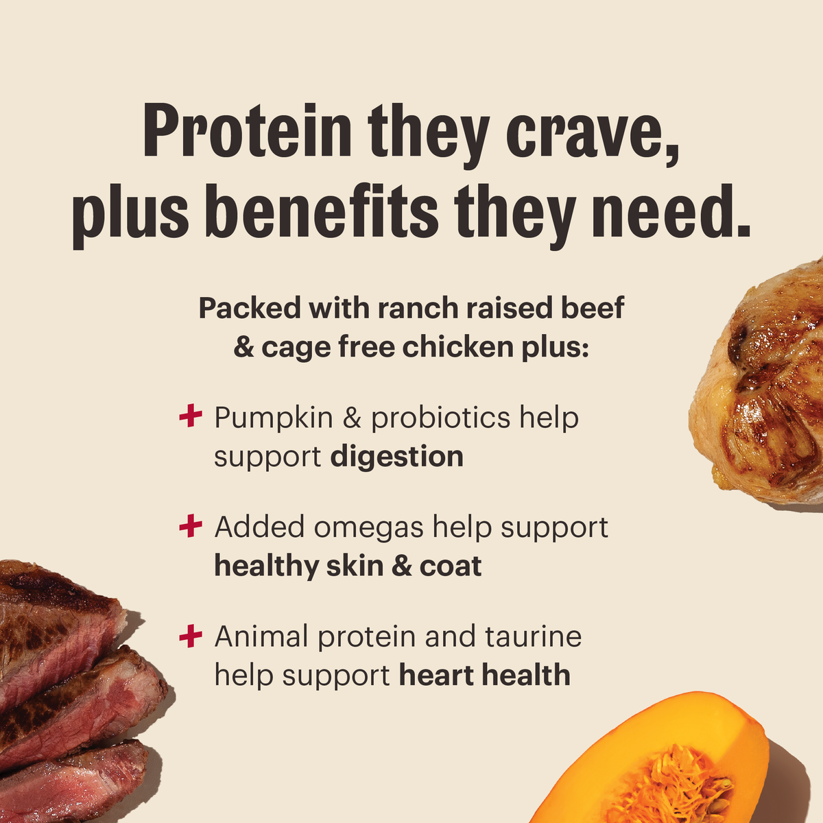 The Honest Kitchen Grain Free Beef & Chicken Protein Plus Clusters Dry Dog Food