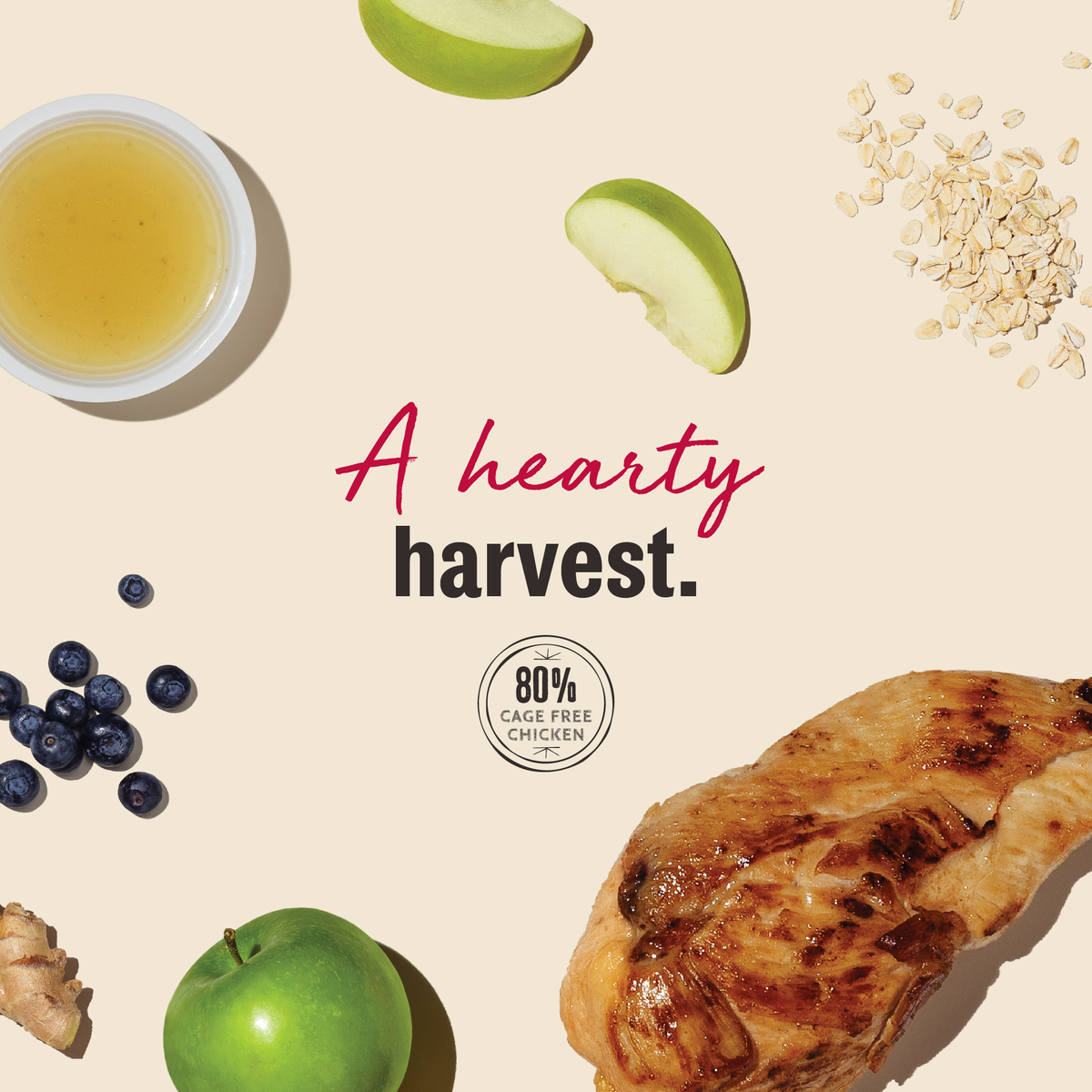 The Honest Kitchen Chicken Jerky Harvest Bars Dog Treats