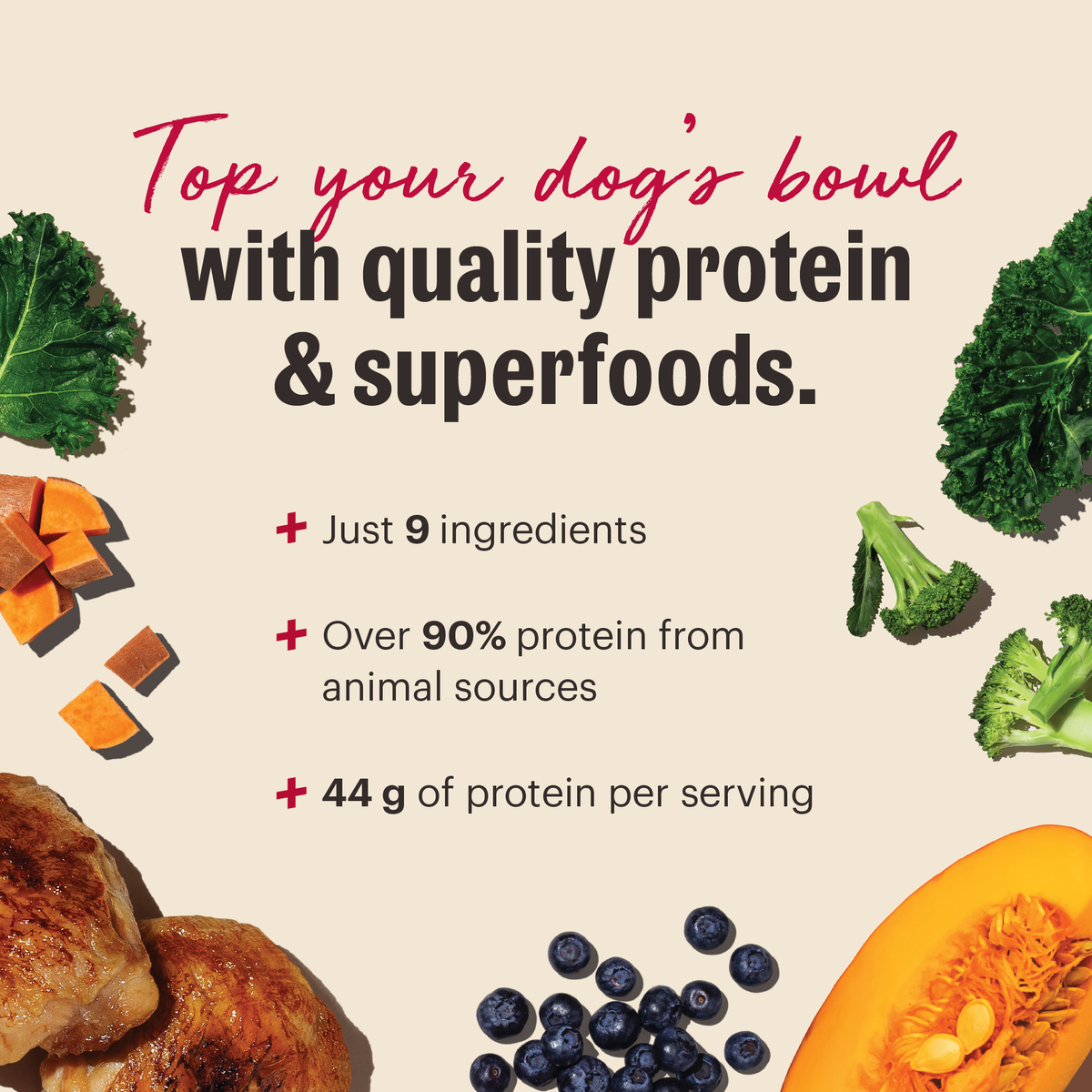 The Honest Kitchen Protein Plus Grain Free Chicken with Superfoods Topper for Dogs