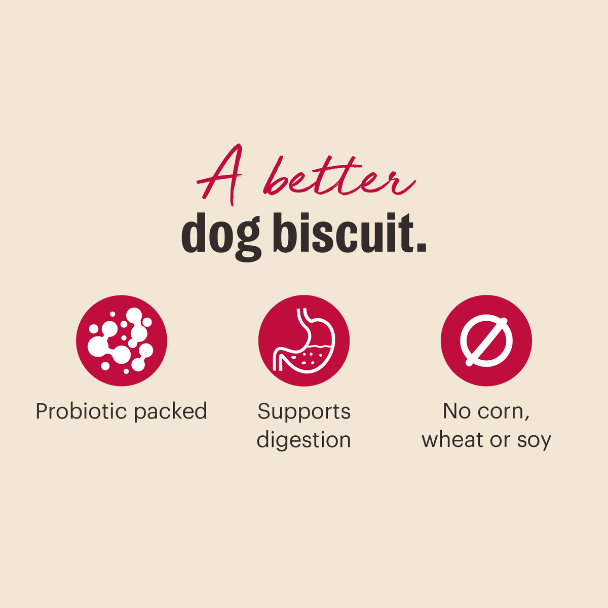 The Honest Kitchen Blueberry & Vanilla Goat's Milk N' Cookies Dog Treats