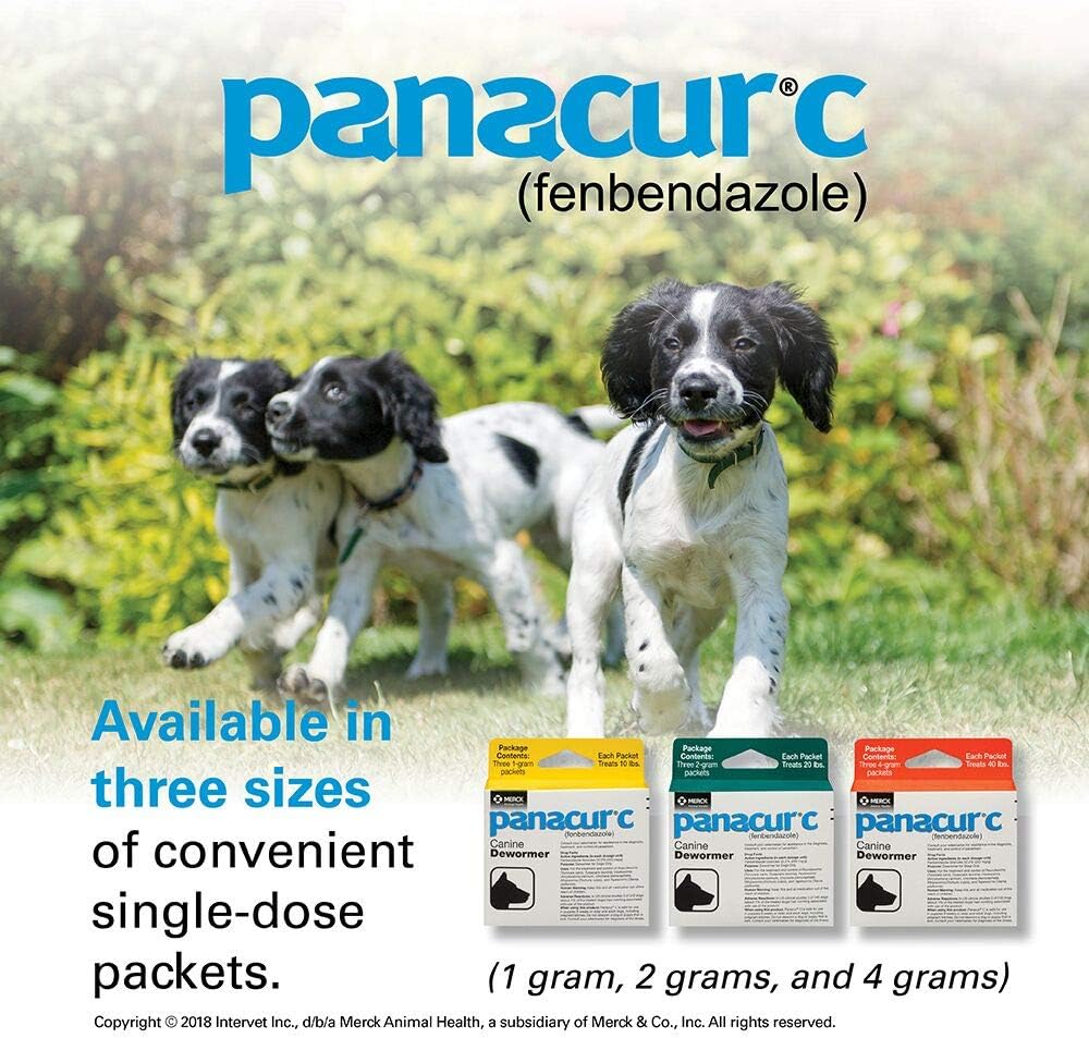 Panacur C Canine Dewormer (Fenbendazole), 1 Gram, 3 Count (Pack of 1)