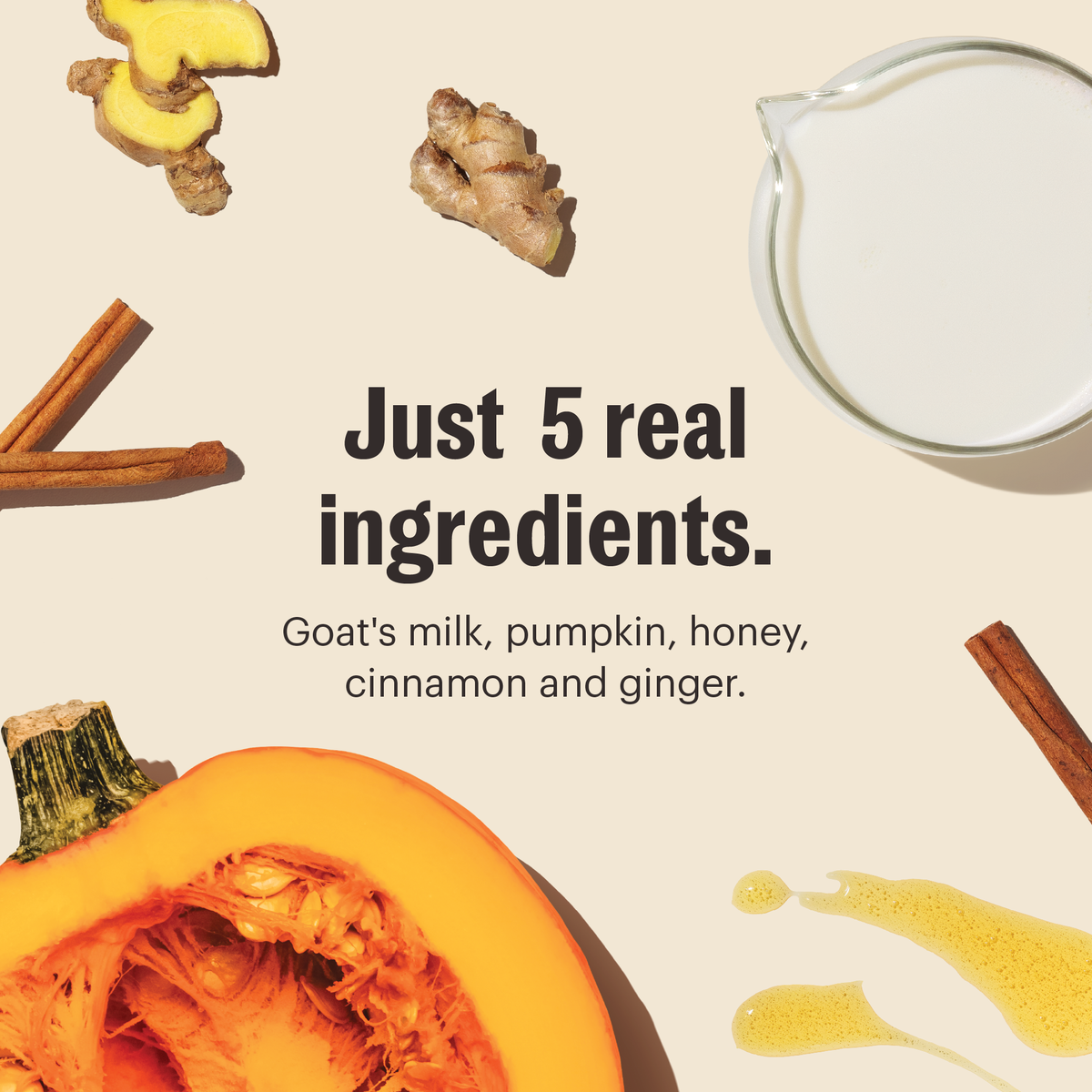 The Honest Kitchen Pumpkin Spice Latte for Dogs