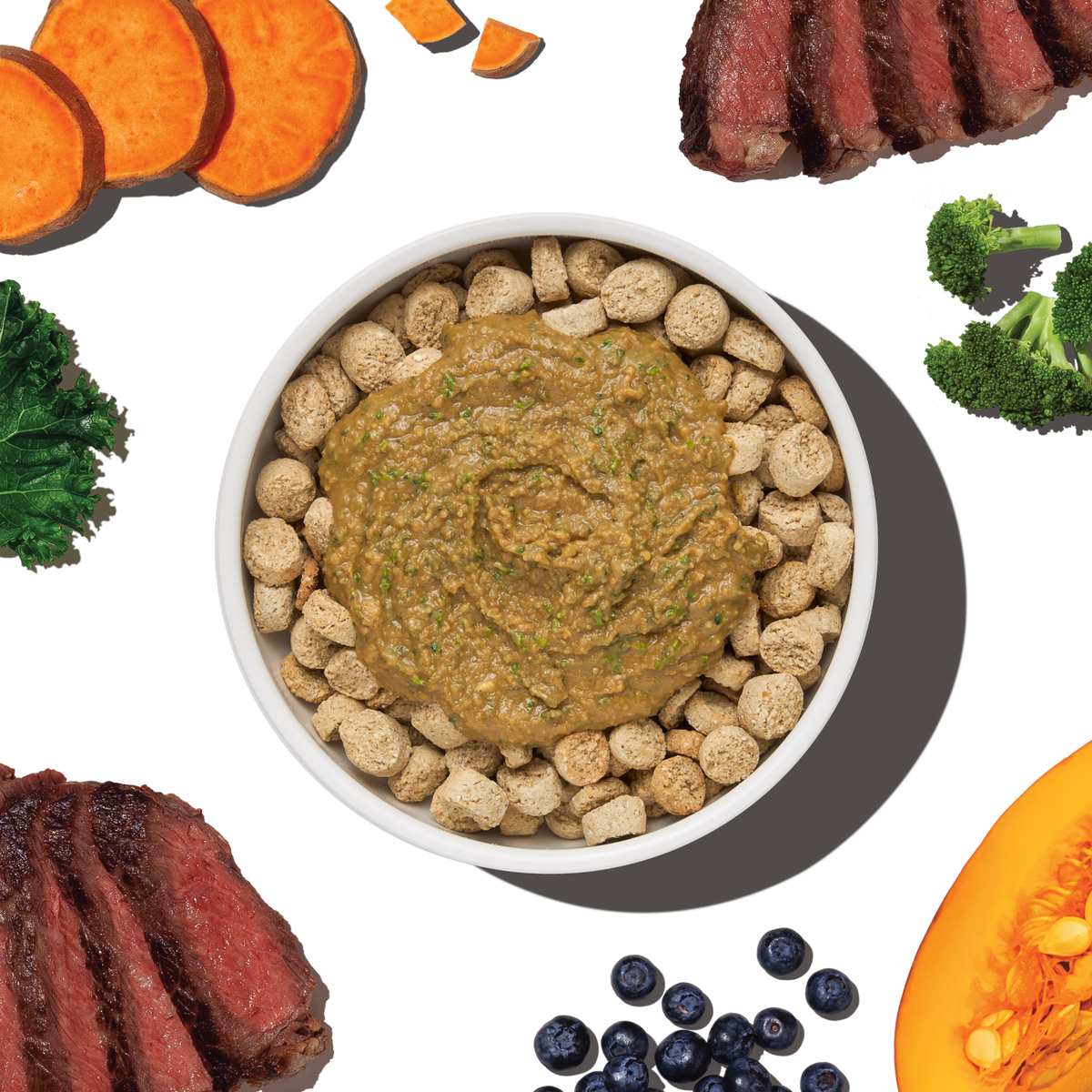 The Honest Kitchen Protein Plus Grain Free Beef Topper for Dogs
