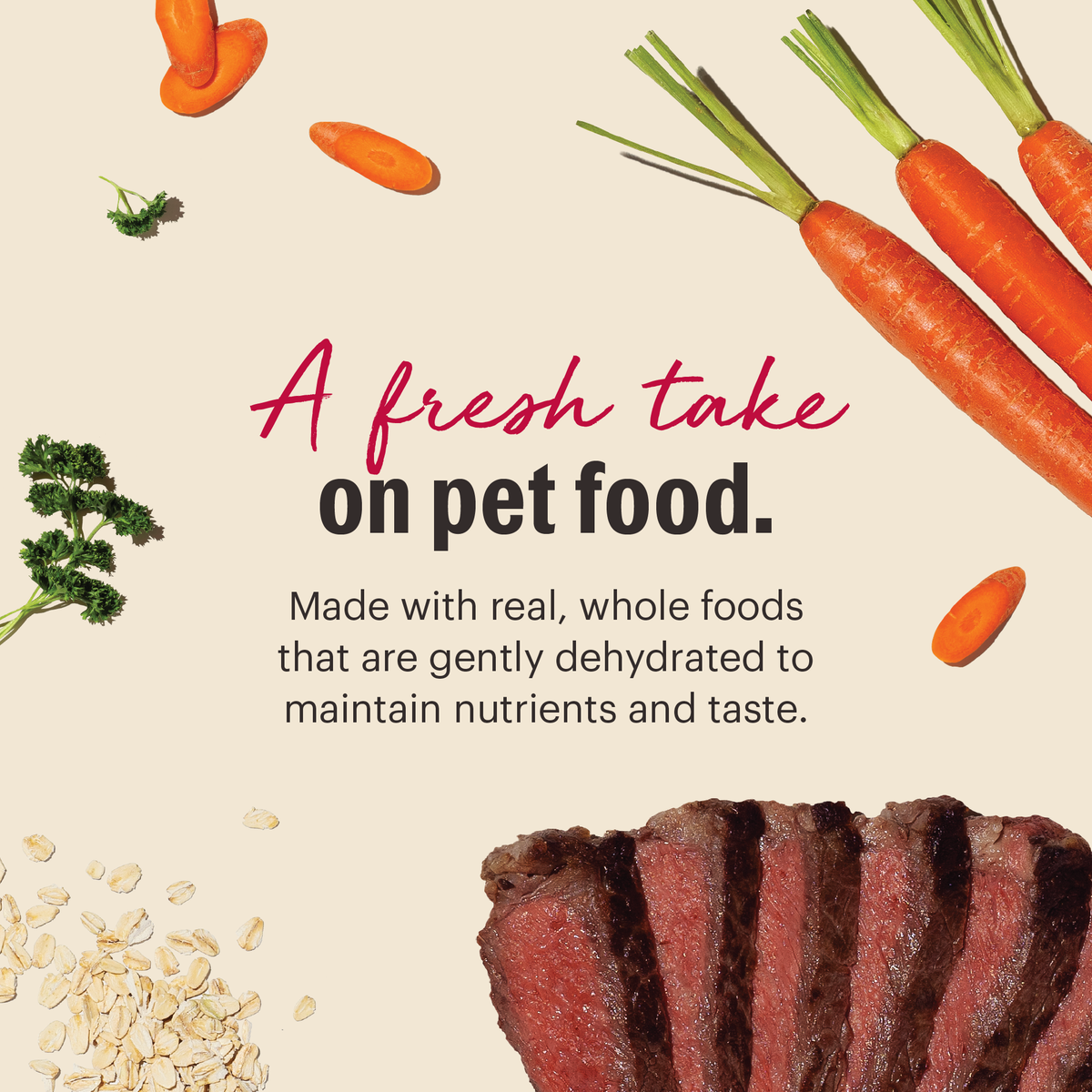 The Honest Kitchen Wholemade Whole Grain Beef & Oat Dehydrated Dog Food