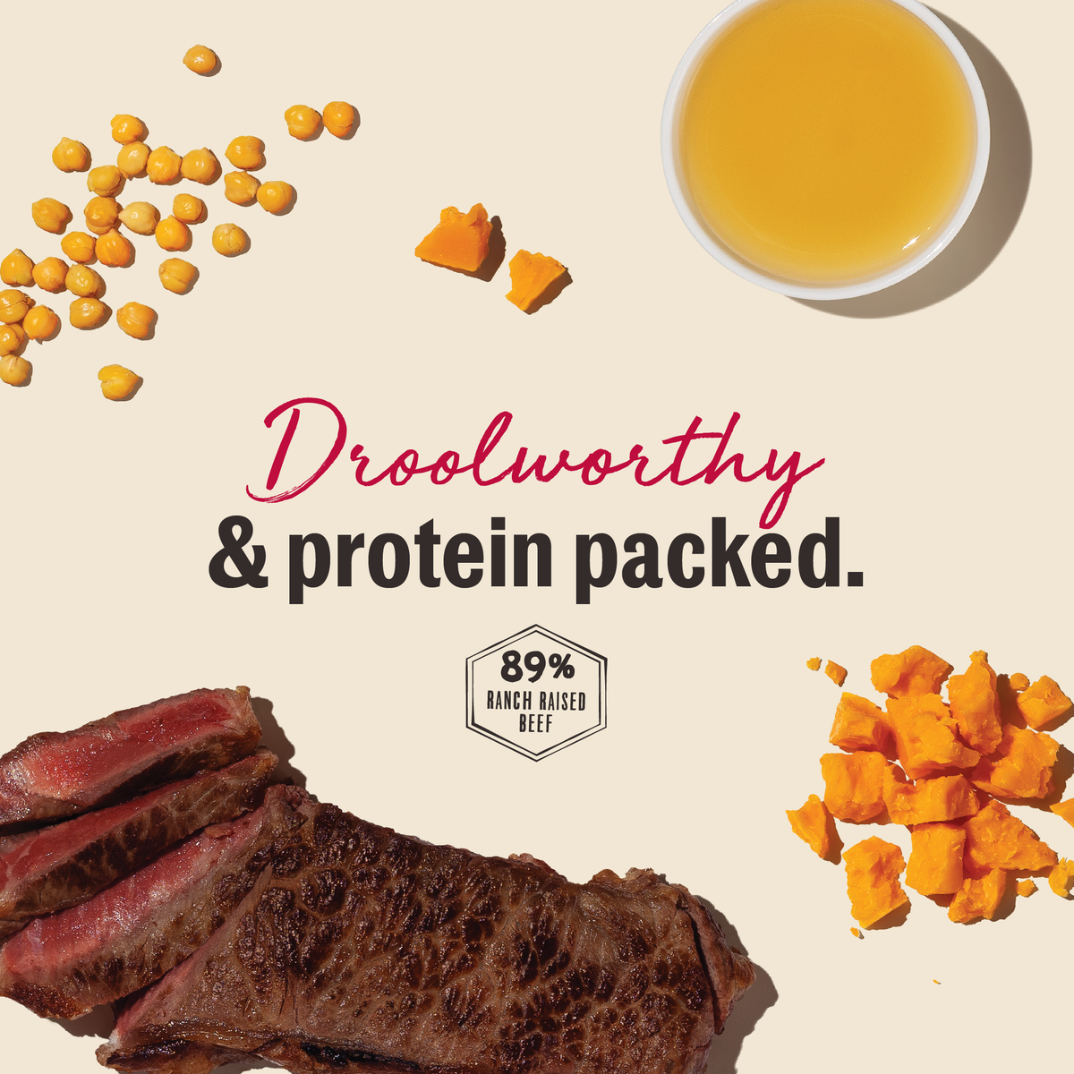 The Honest Kitchen Gourmet Beef Liver & Cheddar Chips Dog Treats
