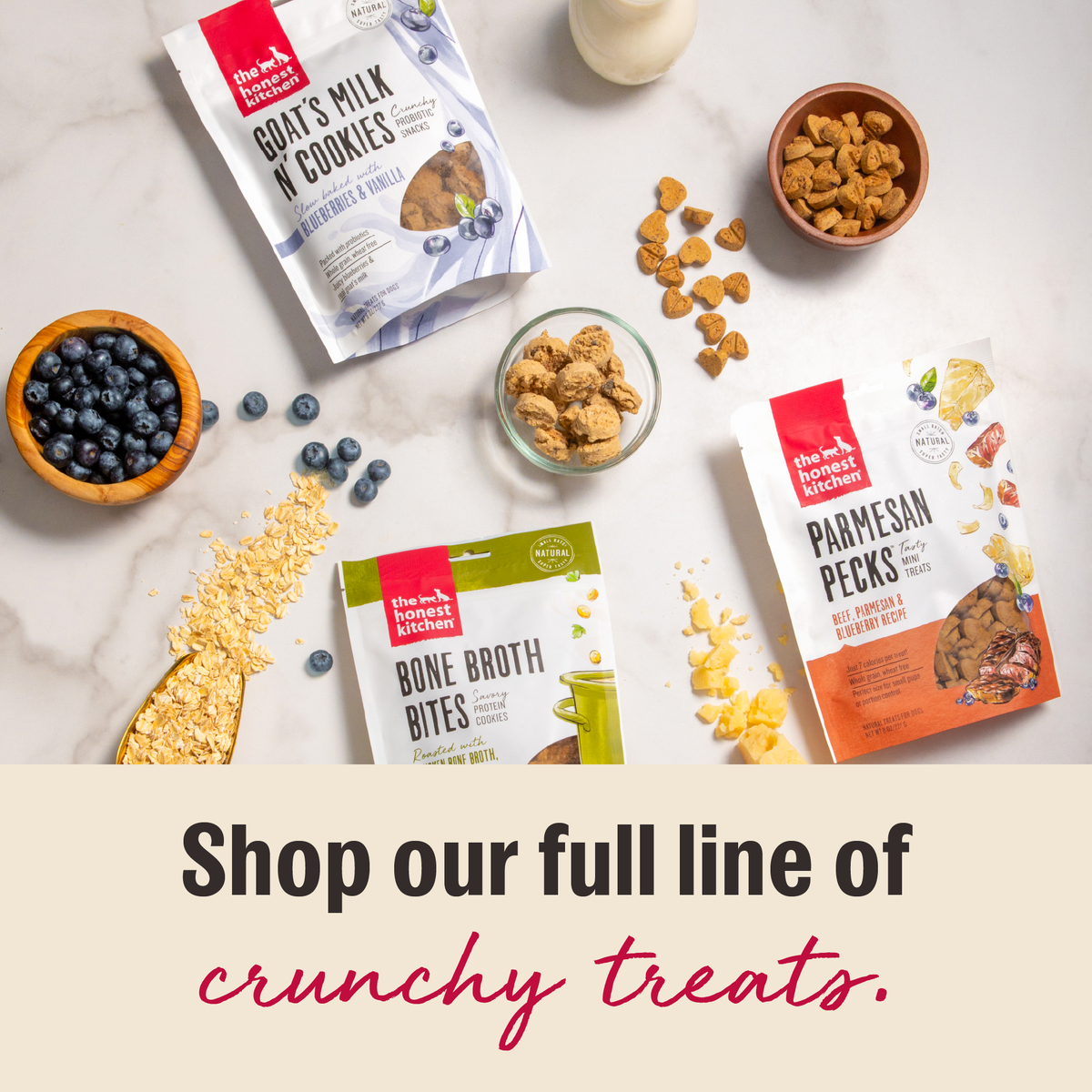 The Honest Kitchen Chicken Bone Broth Bites with Carrots Dog Treats