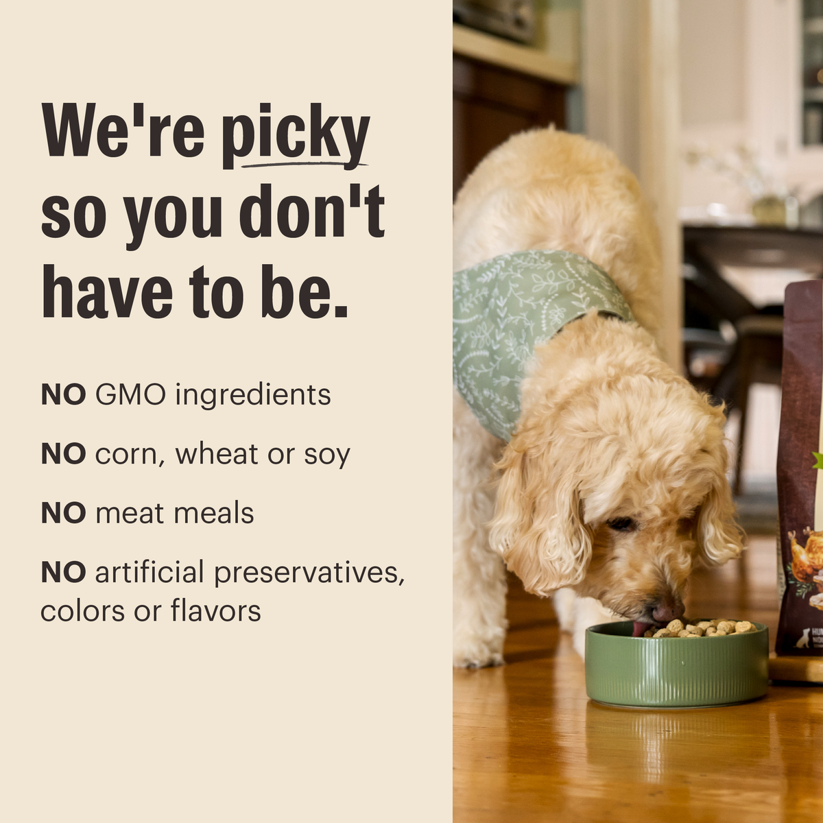 The Honest Kitchen Protein Plus Grain Free Chicken with Superfoods Topper for Dogs