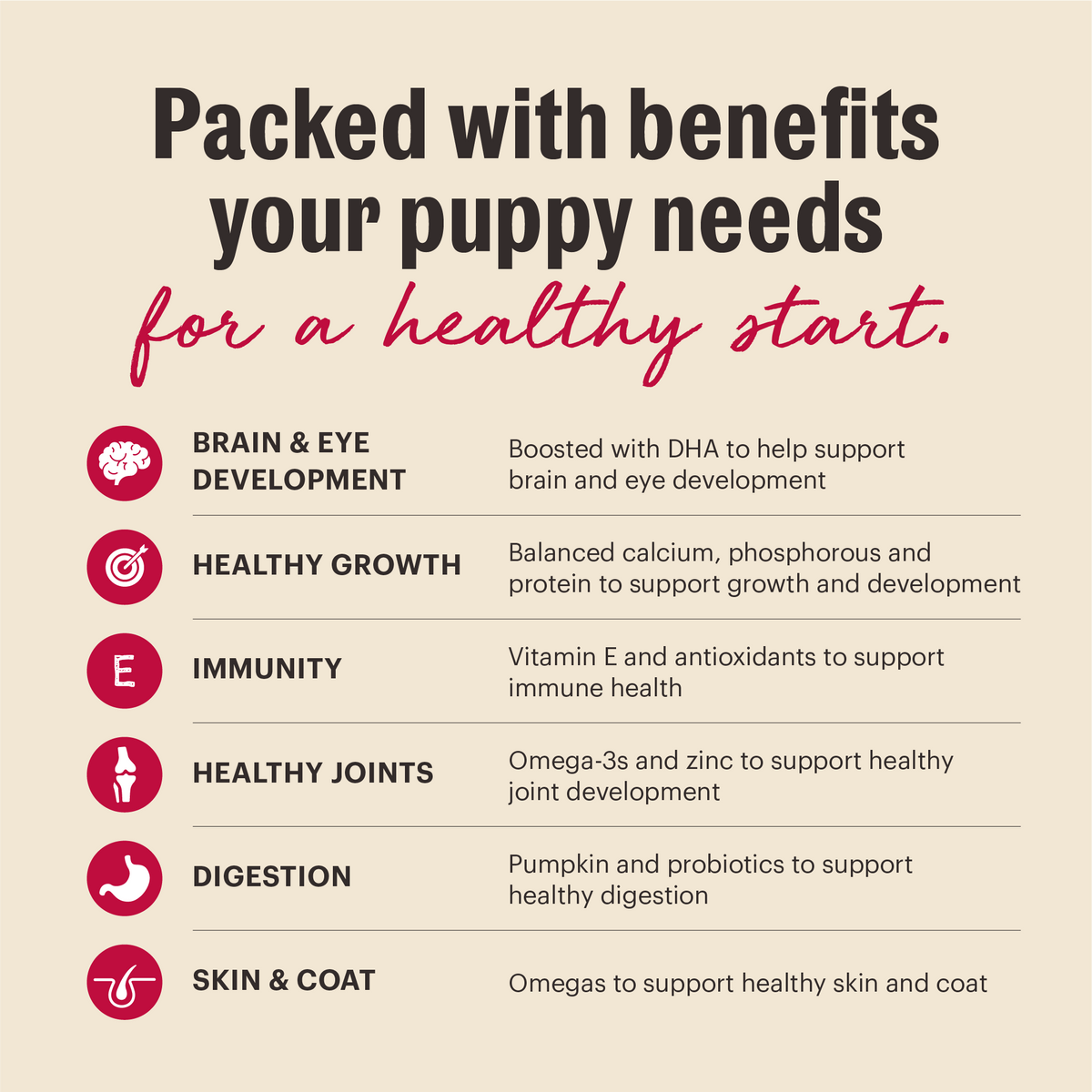 The Honest Kitchen Wholemade Whole Grain Beef & Salmon Dehydrated Dog Food for Puppies