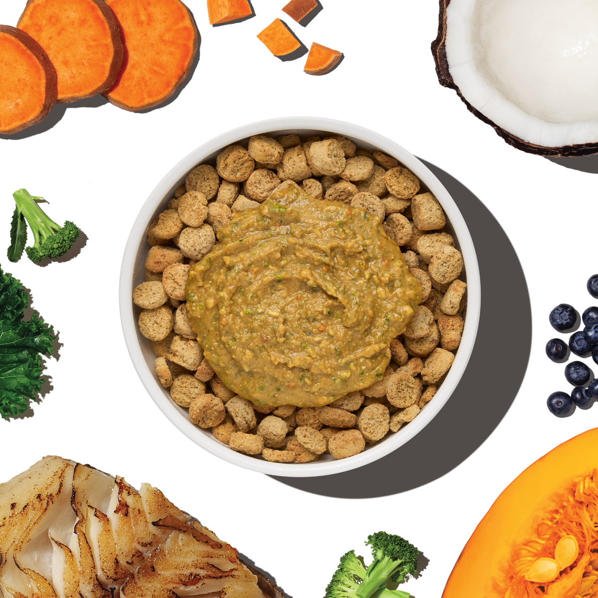 The Honest Kitchen Protein Plus Grain Free Fish Topper for Dogs