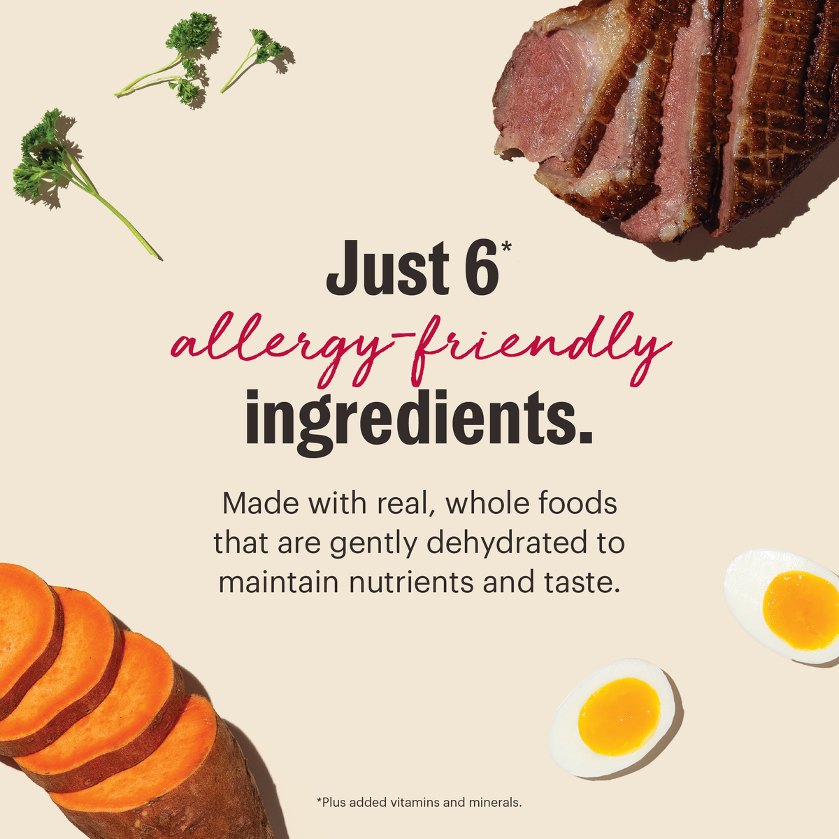 The Honest Kitchen Wholemade Limited Ingredient Duck & Sweet Potato Dehydrated Dog Food