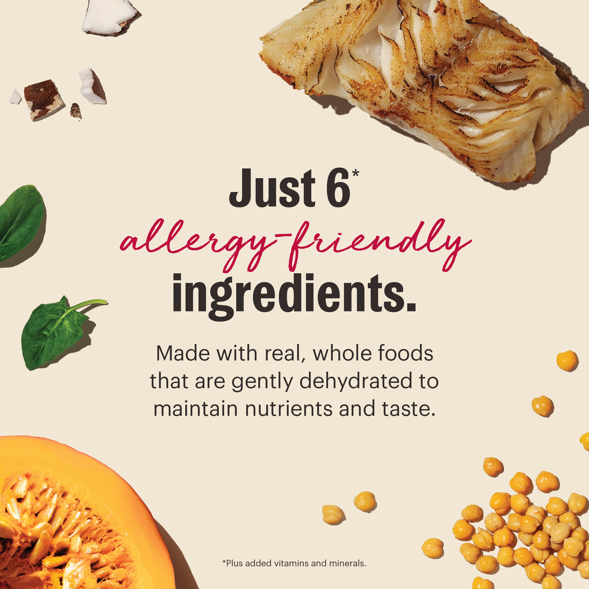 The Honest Kitchen Wholemade Limited Ingredient Fish Dehydrated Dog Food