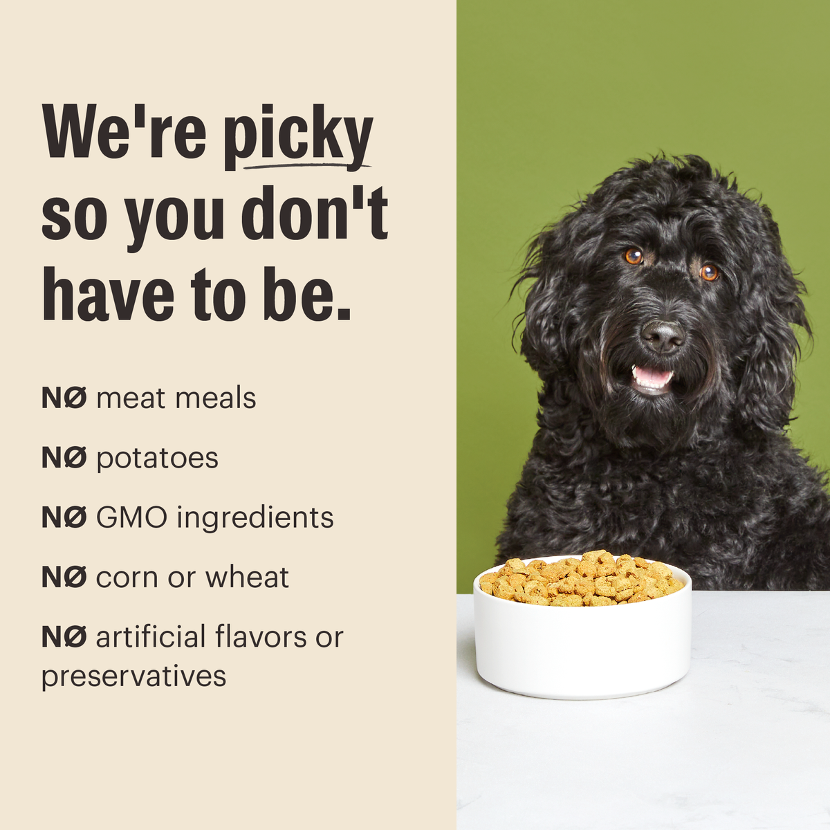 The Honest Kitchen Whole Grain Turkey & Chicken Essential Clusters Dry Dog Food