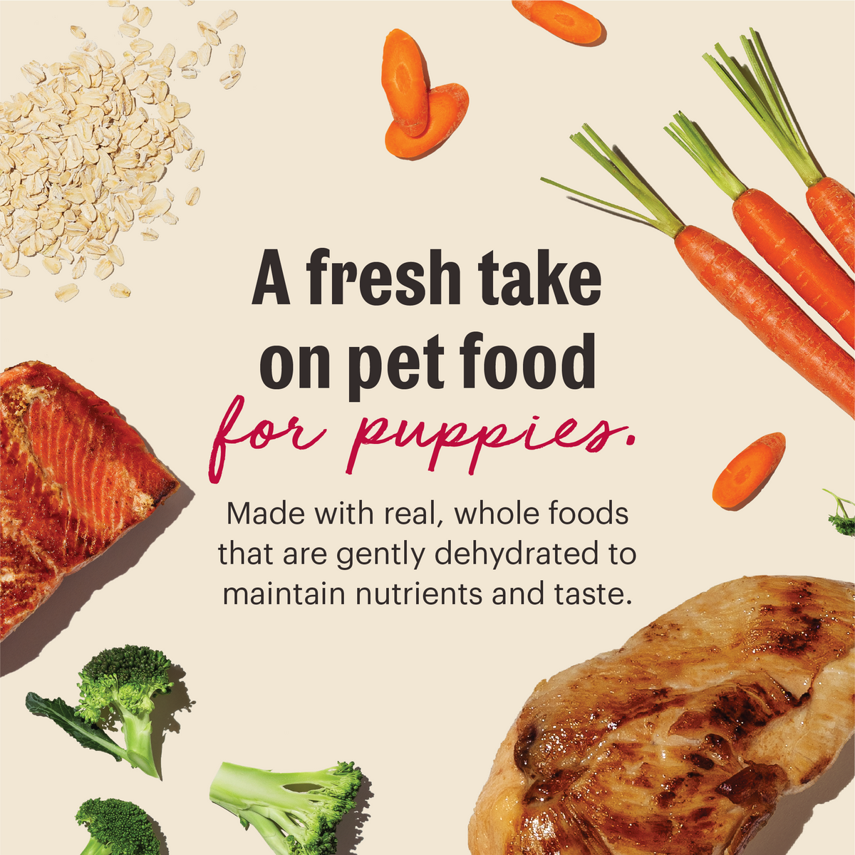 The Honest Kitchen Wholemade Whole Grain Chicken & Salmon Dehydrated Dog Food for Puppies