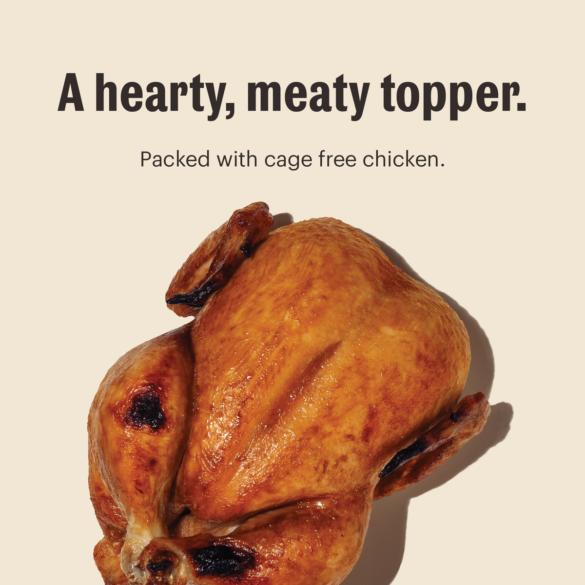 The Honest Kitchen Meal Booster - 99% Chicken Dog Food Topper