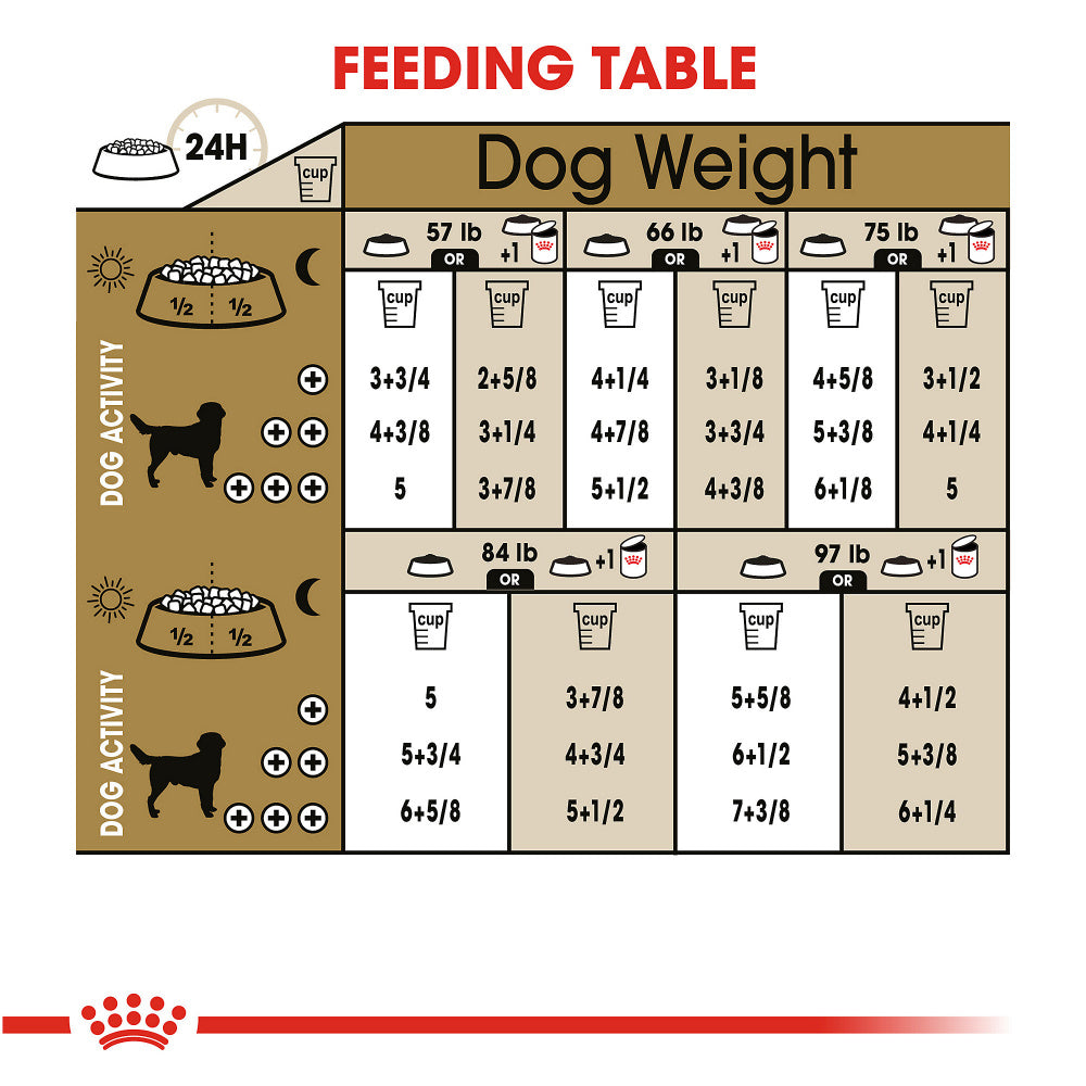 Royal Canin Breed Health Nutrition Labrador Retriever Adult Dry Dog Food