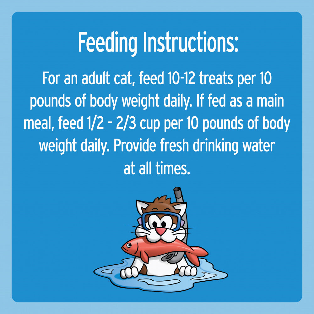 Temptations Savory Salmon Flavor Cat Treats