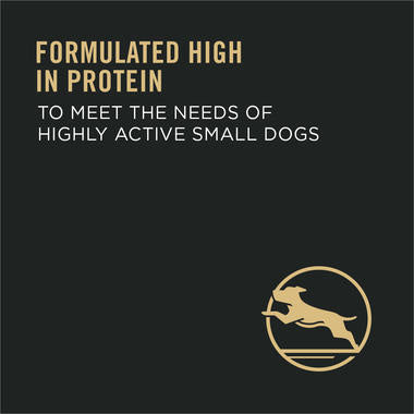 Purina Pro Plan Focus Adult Small Breed Formula Dry Dog Food