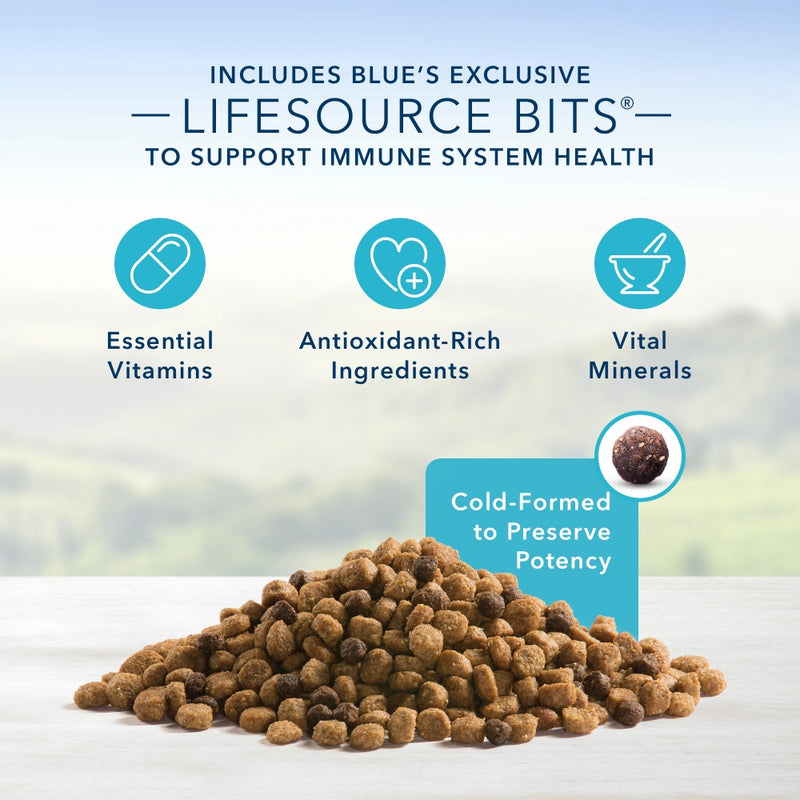 Blue Buffalo Life Protection Natural Small Bites Chicken & Brown Rice Recipe Adult Dry Dog Food