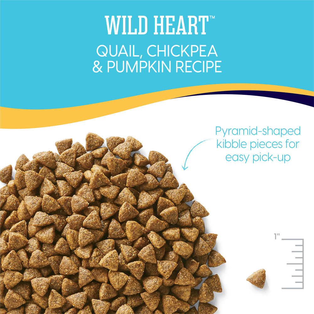 Solid gold wild heart discount