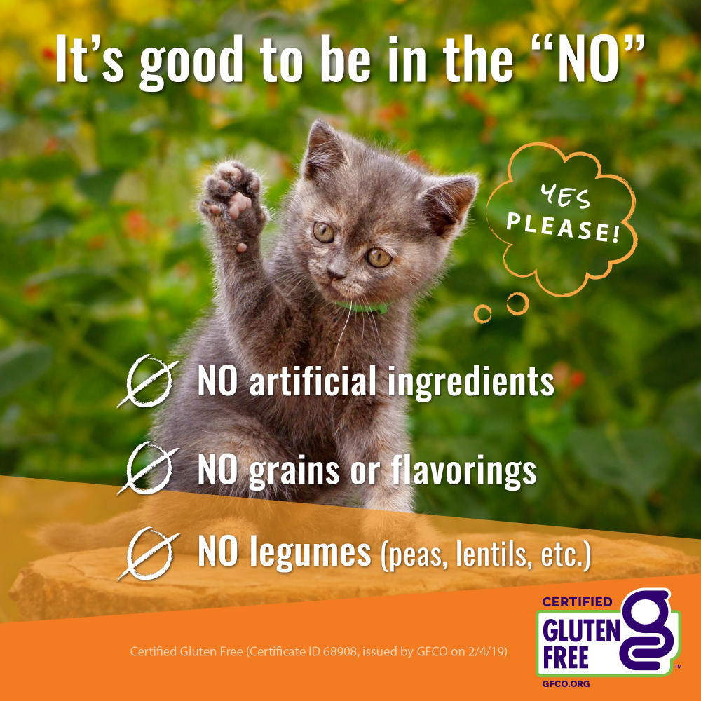 Vital Essentials Vital Cat Freeze Dried Grain Free Duck Liver Cat Treats