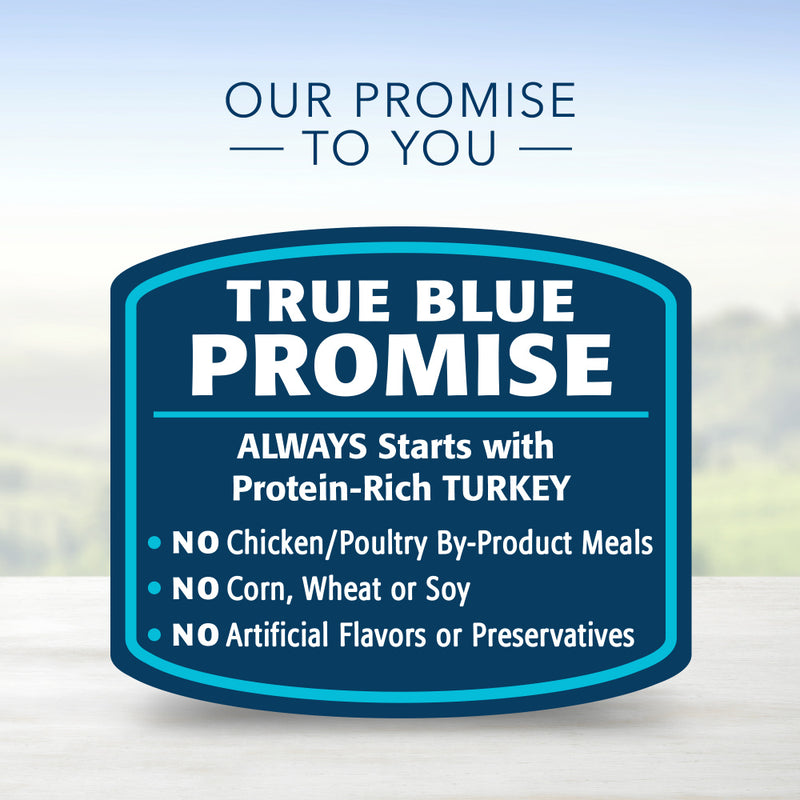 Blue Buffalo Blue Delights Small Breed Roasted Turkey Pate Dog Food Cup