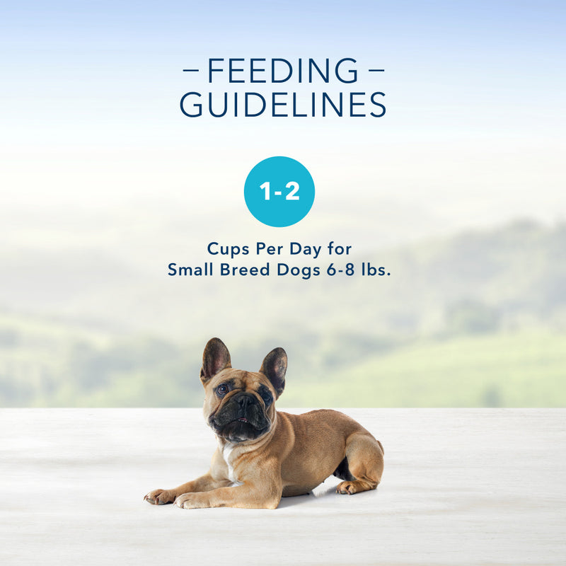 Blue Buffalo Blue Delights Small Breed Roasted Turkey Pate Dog Food Cup