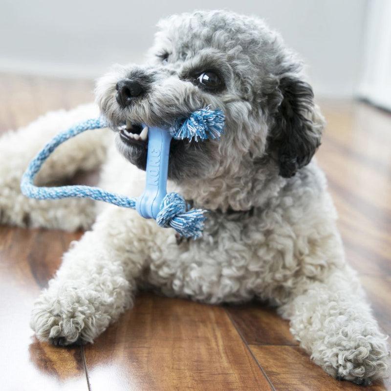 KONG Puppy Goodie Bone with Rope XS Dog Toy