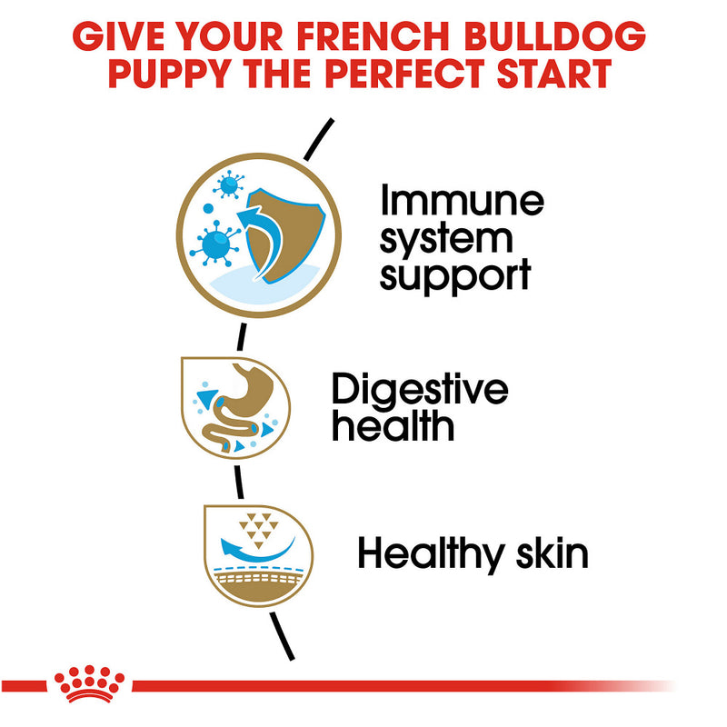 Royal Canin Breed Health Nutrition French Bulldog Puppy Recipe Dry Dog Food