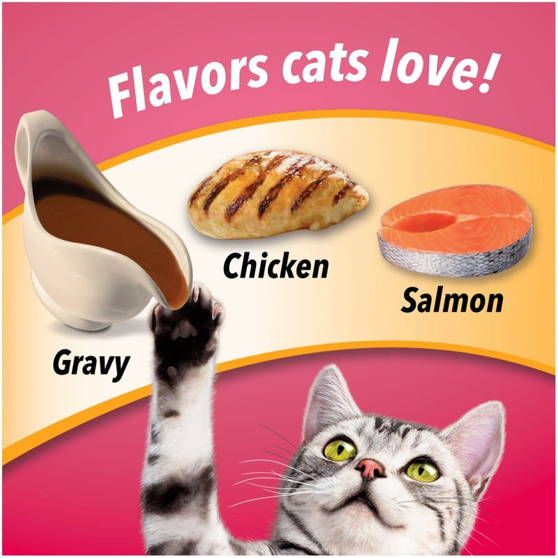 Friskies Gravy Swirlers Chicken & Salmon Flavor Dry Cat Food