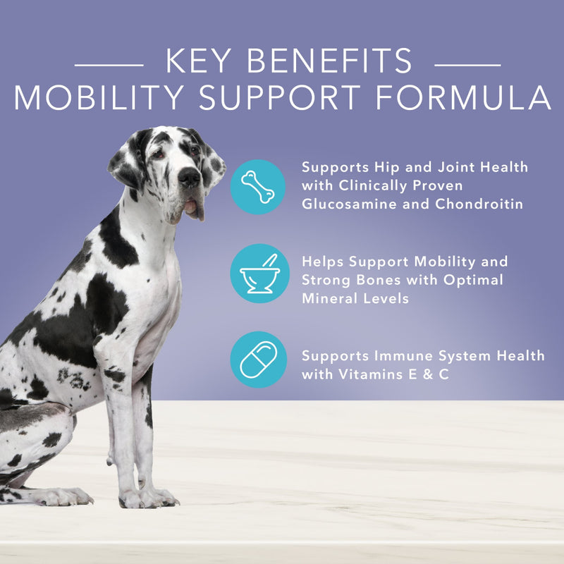 Blue Buffalo True Solutions Jolly Joints Natural Mobility Support Chicken Recipe Adult Dry Dog Food