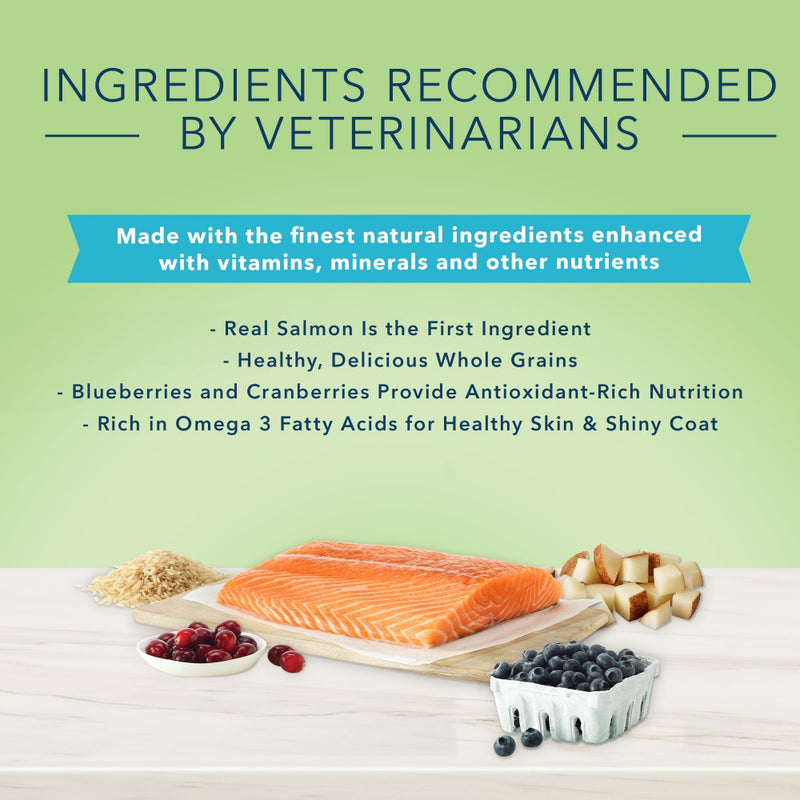 Blue Buffalo True Solutions Perfect Coat Natural Skin & Coat Care Salmon Recipe Adult Dry Cat Food