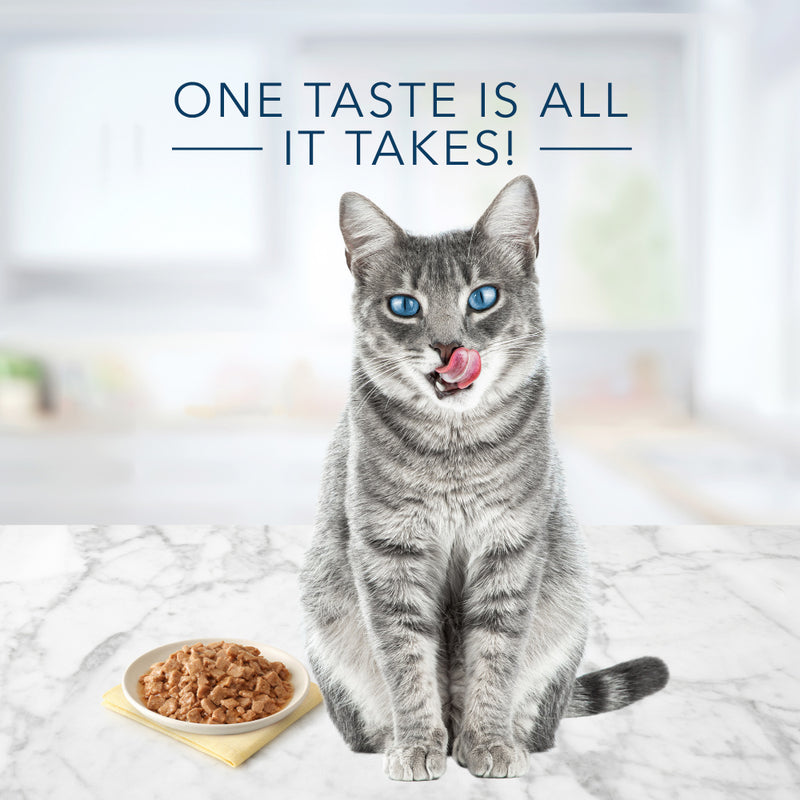 Blue Buffalo Tastefuls Natural Flaked Chicken Entree in Gravy Wet Cat Food