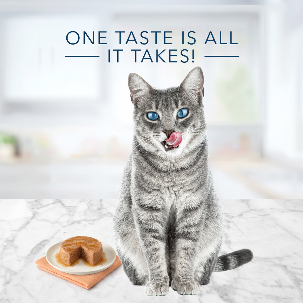 Blue Buffalo Tastefuls Natural Pate Ocean Fish & Tuna Entree Wet Cat Food
