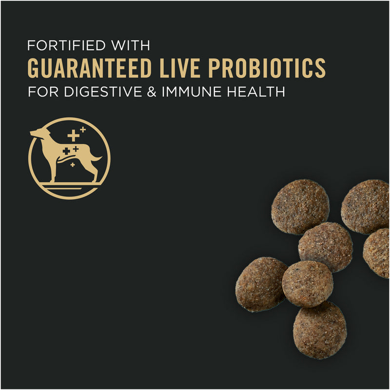 Purina Pro Plan Development Sensitive Skin & Stomach Salmon & Rice With Probiotics Large Breed Dry Puppy Food
